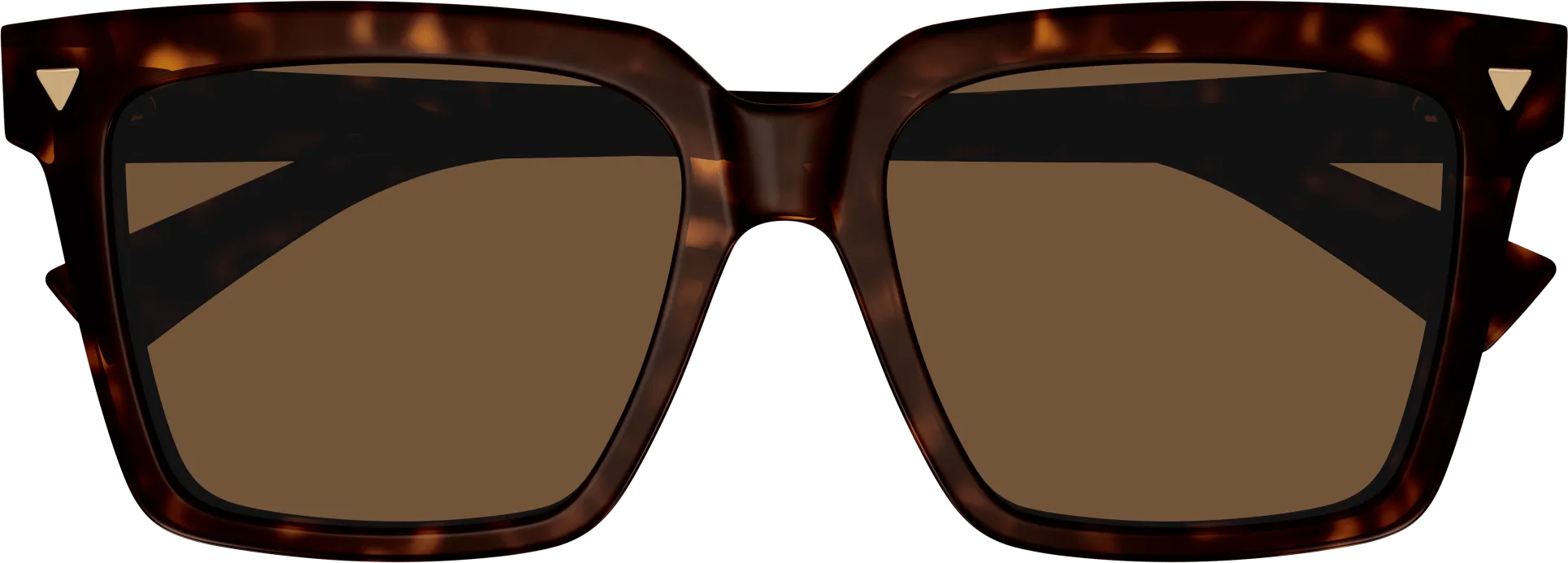 Bottega Veneta BV1254S
