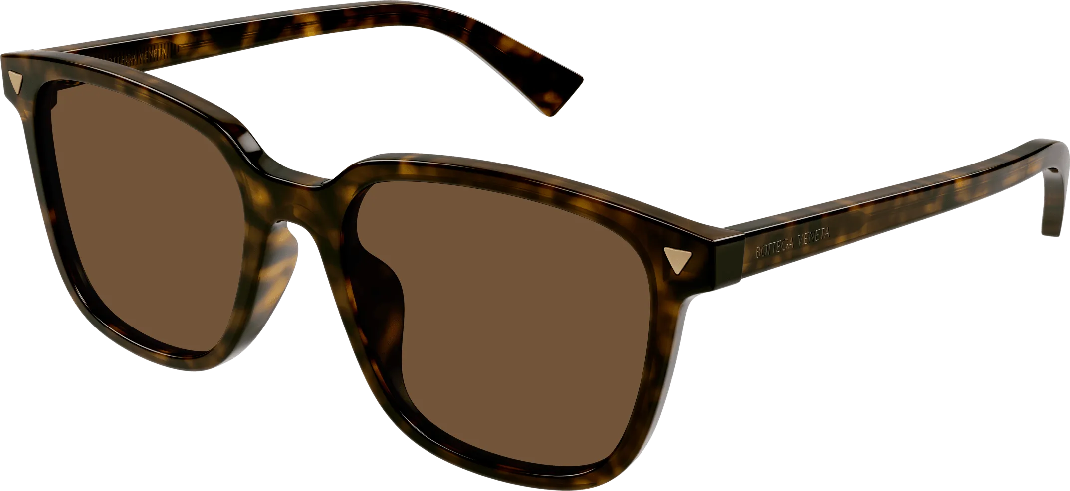 Bottega Veneta BV1255SA