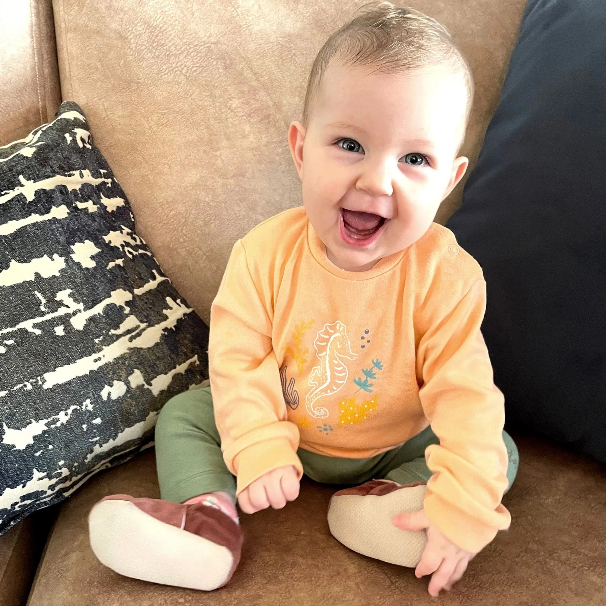 Seahorse Organic Bamboo Baby Sweatshirt